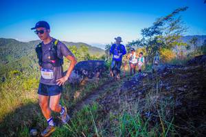 BIB: 1404, 
                            <button type="button" onclick="openModal(19068152)" class="btn btn-primary btn-sm float-right btn-popup" data-toggle="modal" data-target=".modal-high-quality">
                        <i class="fas fa-shopping-cart"></i> Add to Cart
                    </button>
                                            <button type="button" onclick="isThisMe(19068152, true)" class="btn btn-success btn-sm float-right btn-popup btn-isme hidden" data-toggle="tooltip" data-placement="bottom" title="นี่คือรูปของคุณใช่ไหม คลิกที่นี่เพื่อเอาเข้าอัลบั้ม">
                        <i class="fas fa-plus"></i> Add to album
                    </button>
                    <button type="button" onclick="isThisMe(19068152, false)" class="btn btn-warning btn-sm float-right btn-popup btn-isnotme hidden">
                        <i class="fas fa-ban"></i> Remove from album
                    </button>